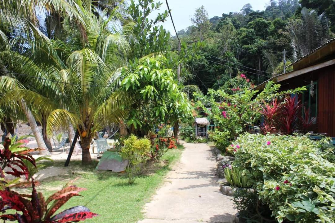 ホテル Ella'S Place Salang Tioman エクステリア 写真