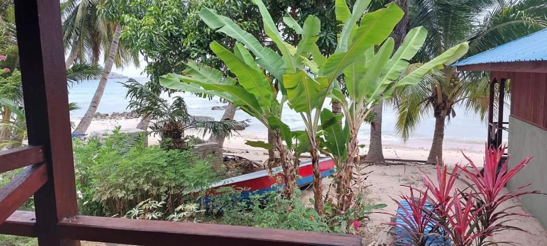 ホテル Ella'S Place Salang Tioman 部屋 写真