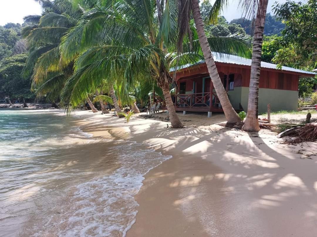 ホテル Ella'S Place Salang Tioman エクステリア 写真